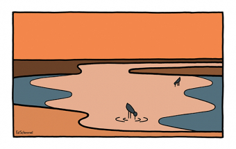 Mud flats 1