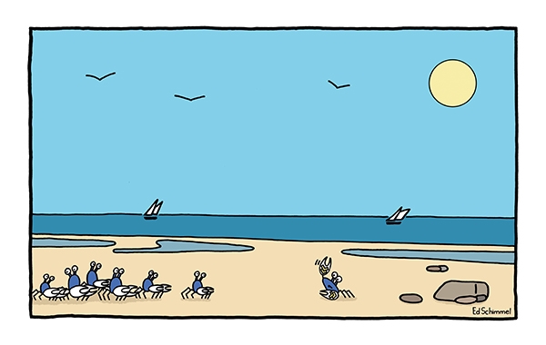 Ed Schimmel - Pop Artist in Australia - Soldier crabs