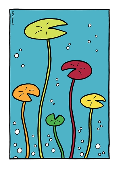 Ed Schimmel - Pop Artist in Australia - Water lilies